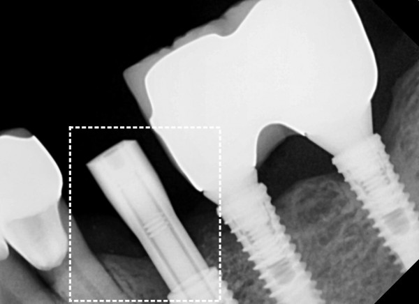 29ef42d7090a68cfb8aca42e15b3089c_1754370845_41.jpg