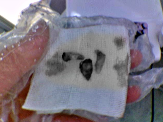 e24247b91ffaf56031c329cbe8e569b7_1782982534_56.png e24247b91ffaf56031c329cbe8e569b7_1782982534_56.png