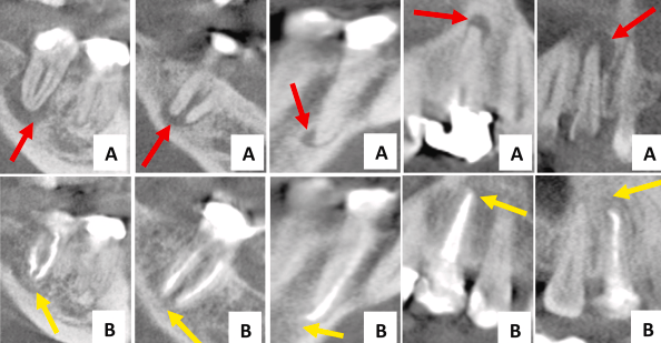 21961efaab07a288dd967ea335407932_1789087654_02.png