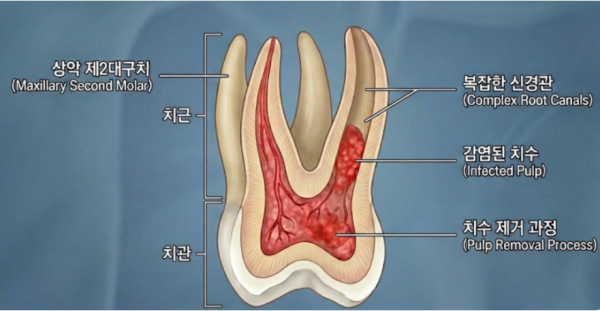8c7ee782370da8f380111df7d258f90b_1788507821_19.png